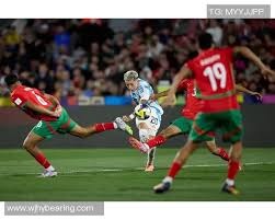 埃弗顿球员手球未被判点球，桑德兰球迷愤怒