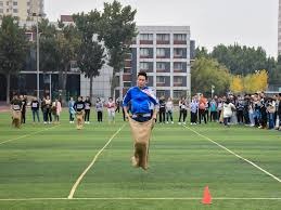 中职联盟如何平衡竞技与商业